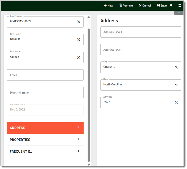 Image of the opened Address panel in the Customers Editor.