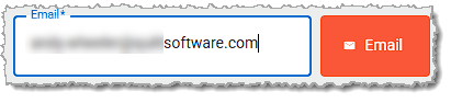 Image showing the Email field in the electronic journal page of the system's back end.